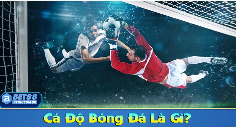 Cá Độ Bóng Đá & 5 Bí Quyết Độ Banh Hiệu Quả Nhất 2026 5 Khái niệm cá độ bóng đá online là gì