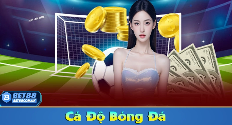 Cá Độ Bóng Đá & 5 Bí Quyết Độ Banh Hiệu Quả Nhất 2026 4 Cá độ bóng đá online