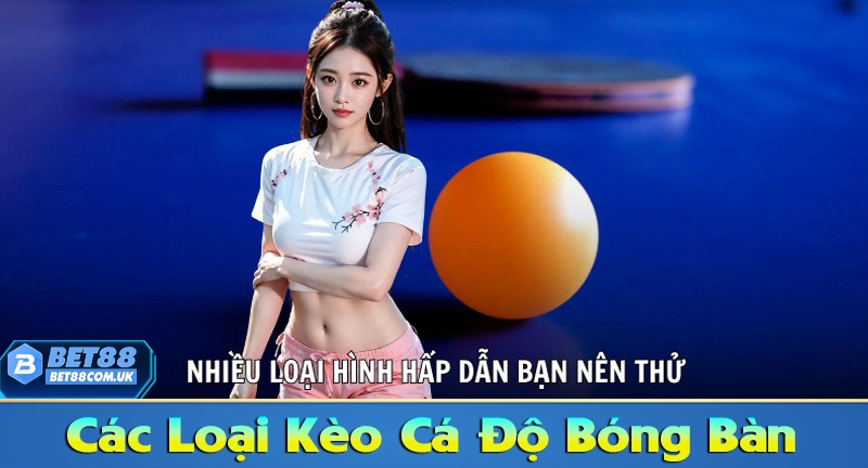Các loại kèo cá cược bóng bàn online nên biết